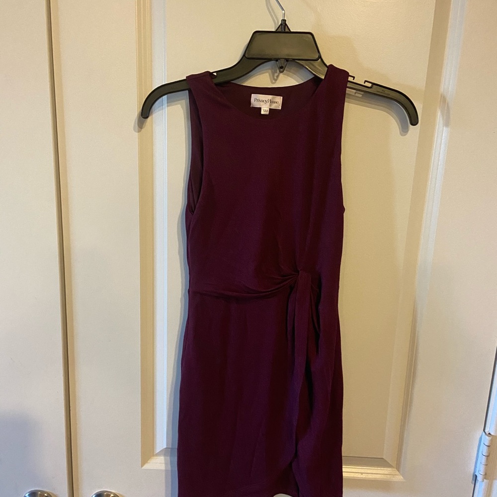 Privacy Please Dress - Picture 3 of 4